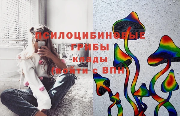 стаф Алексин